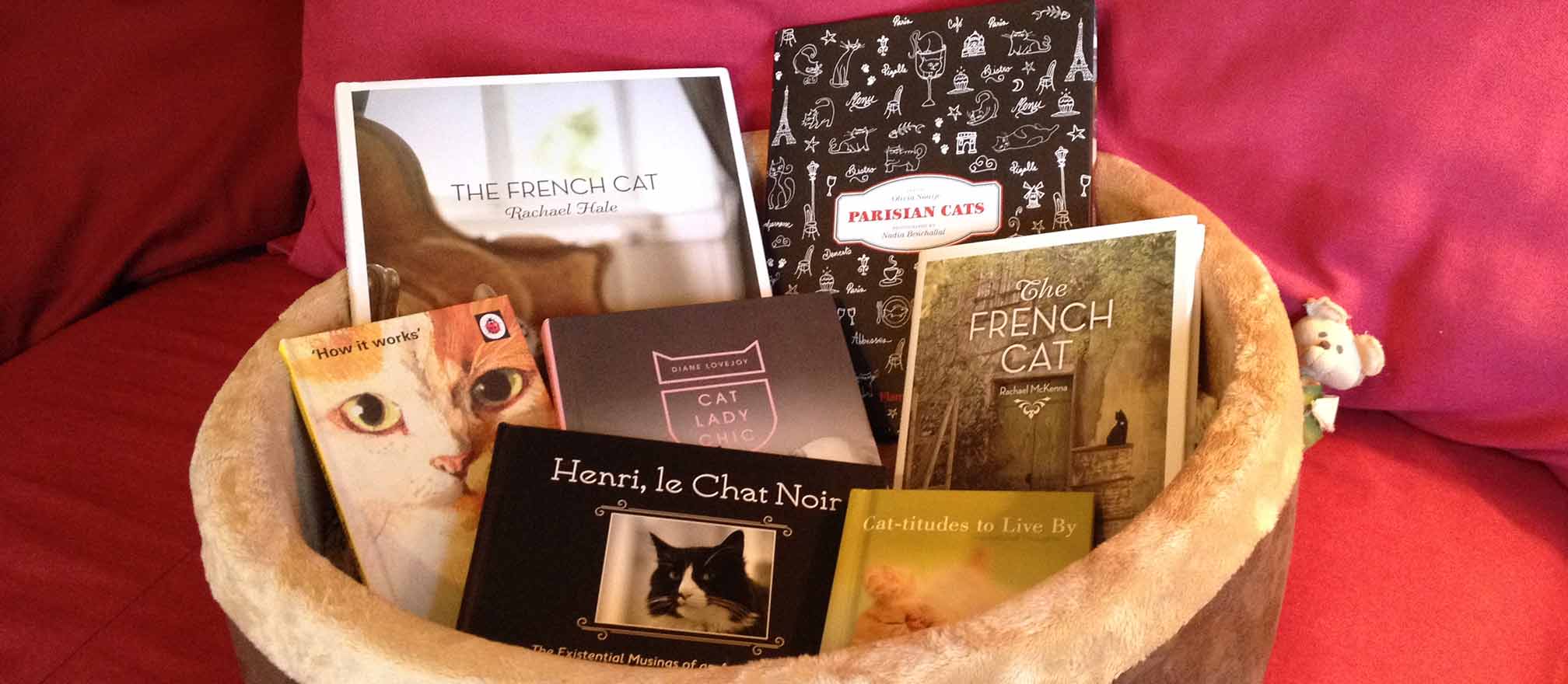 collection of cat books arranged in a cat bed