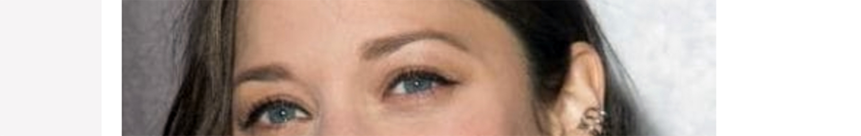 The small possum Petit Pogo of Provenc-sur-la-Prairie dines