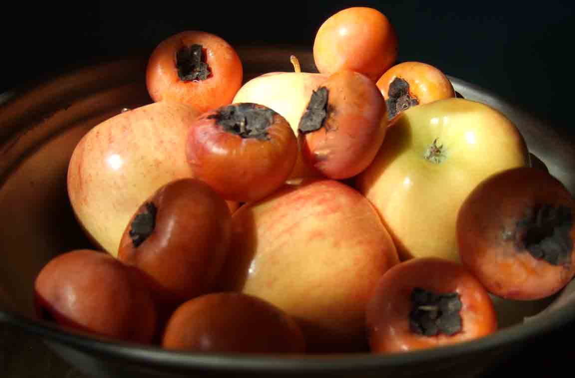 persimmons and apples in pewter bowl