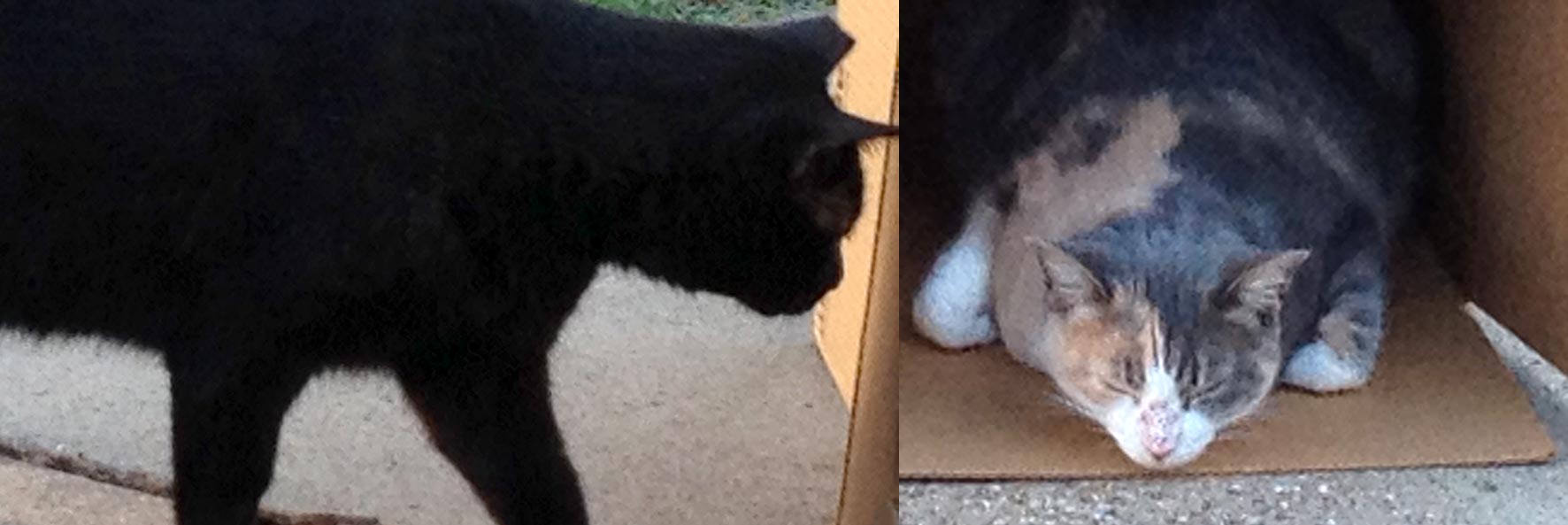 Sam comes to check on Kiri . . . or maybe the box