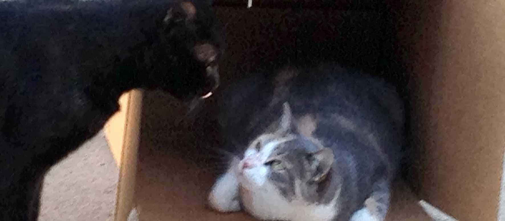 Kiri does not appreciate Sam checking