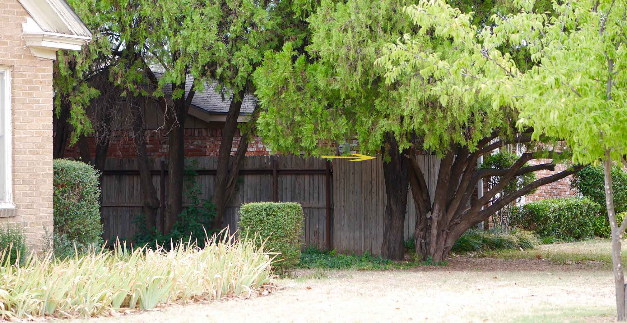 truck path across Anne's front yard