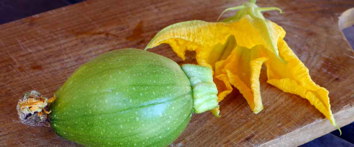 squash with blossom on cutting board