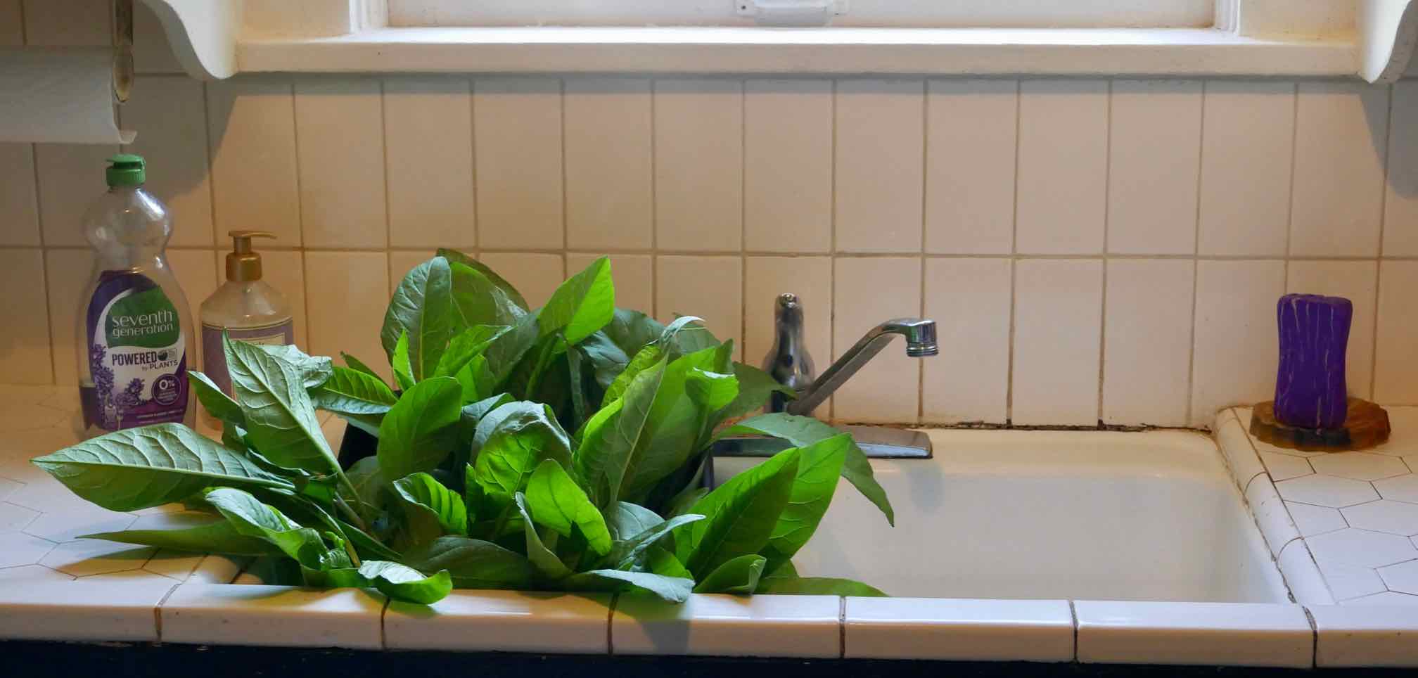 poke in sink ready for washing