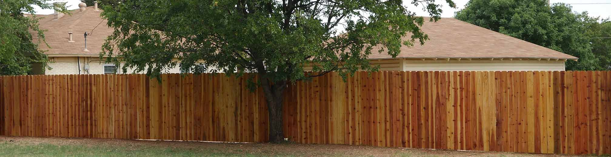 Anne's new fence along the alley